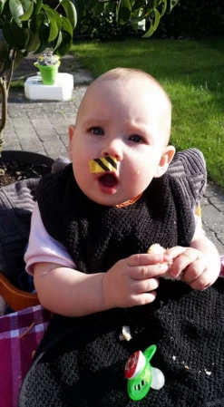 Bee-Patch -Camping Série Magasin anti venin guepes abeilles frelon bourdon beepatch