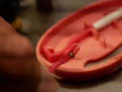 Clipbox Tick Twister -Camping Série Magasin crochet anti tiques ticktwister 02