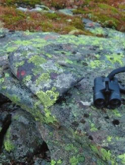 Jerven Fjellduken Hunter -Camping Série Magasin jervenbag hunter montain