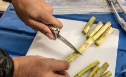 Leatherman Curl -Camping Série Magasin multi outil pince multifonction leatherman curl 03 1