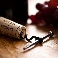 True Utility Twistick -Camping Série Magasin tire bouchon twistick true utility 06